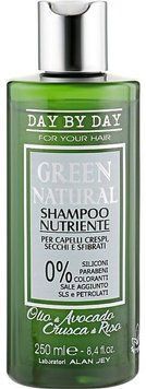Шампунь Alan Jey Green Natural Shampoo живильний для кучерявого сухого та пошкодженого волосся 250 мл 1637 фото