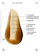 Allies of Skin Сироватка з вітаміном С для обличчя 35% Vitamin C + Perfecting Serum 30 мл P35VS030EN01 фото 4