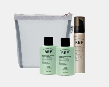 Набір мініатюр REF Trevel Mesh Bag Volume Для об'єму волосся P22111 фото
